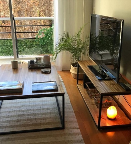 VAN PLANTAS. Diseño y Asesoramiento. Ventas online