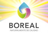 boreal-6