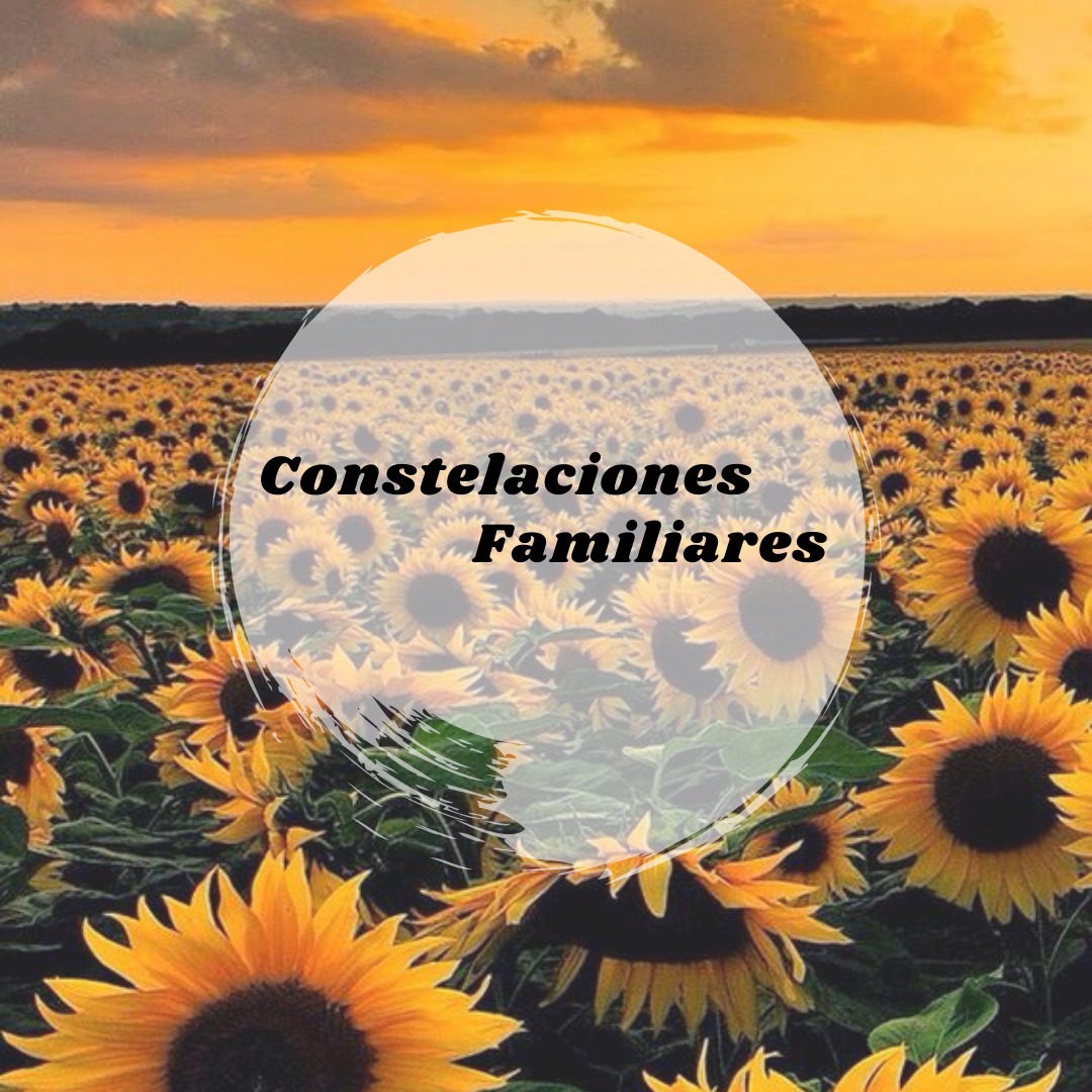 Constelaciones familiares y soluciones sistemicas