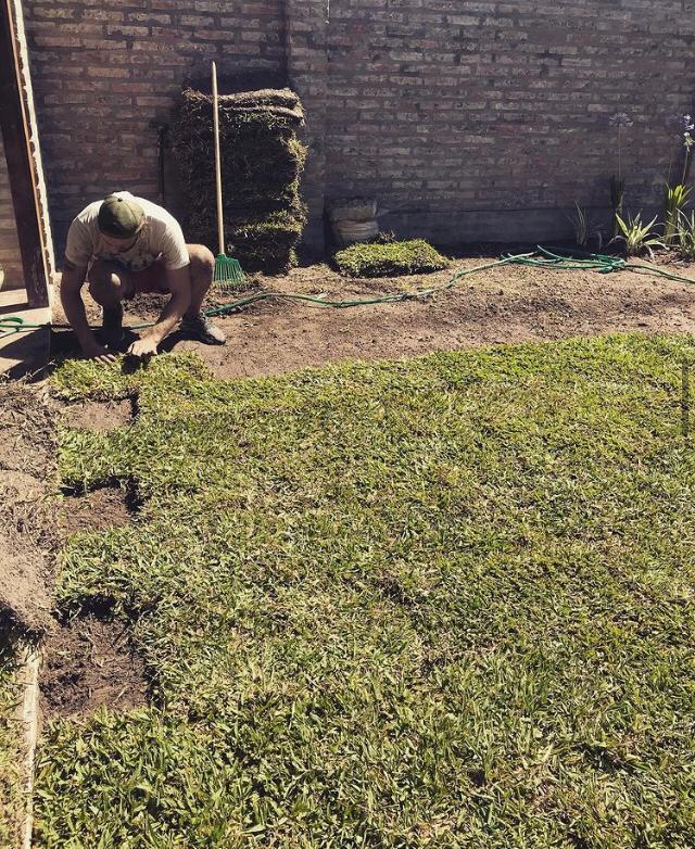 Paisajismo, diseños y jardinería.