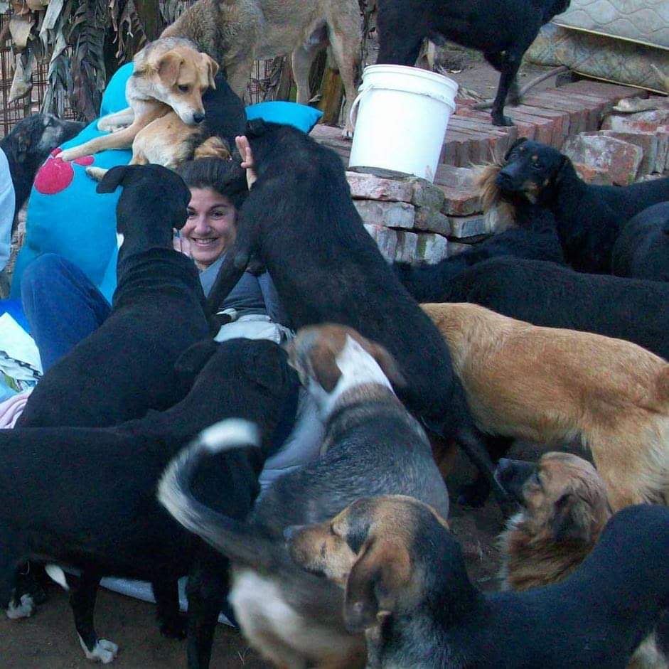 Cuido (a domicilio) y paseo a tu mascota !