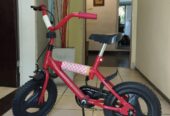 Bicicleta infantil. Rodado 12