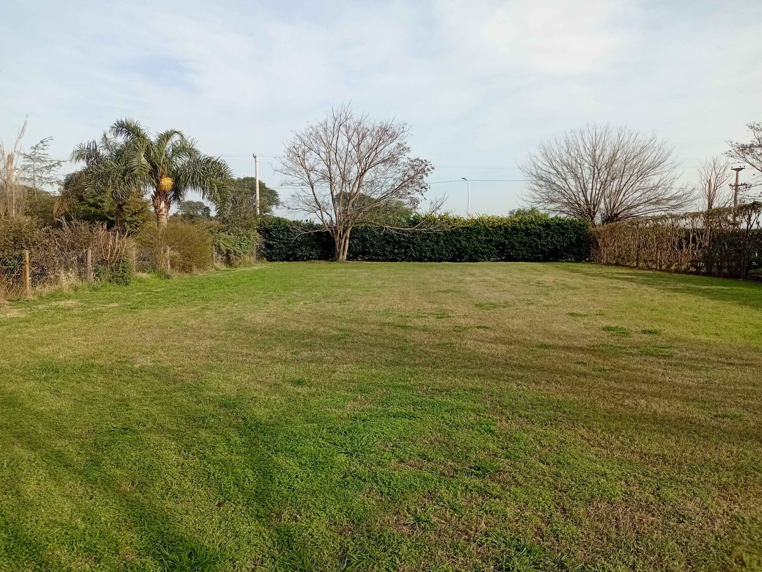 TERRENO EN “LAS ALMENAS”