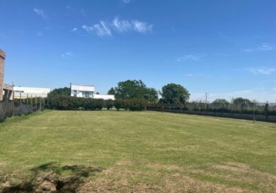 A9B70CD0-132E-43E2-B381-6E05370CC01F