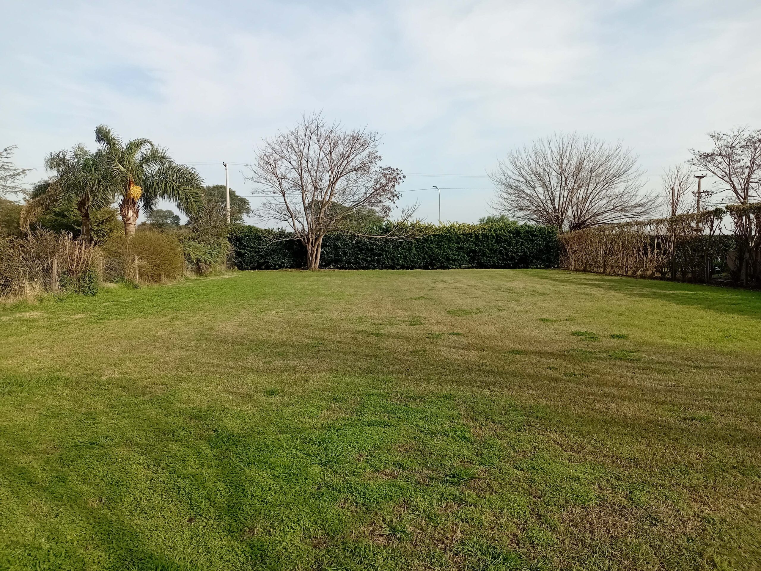 TERRENO EN LAS ALMENAS